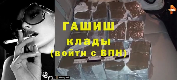 гашик Богданович