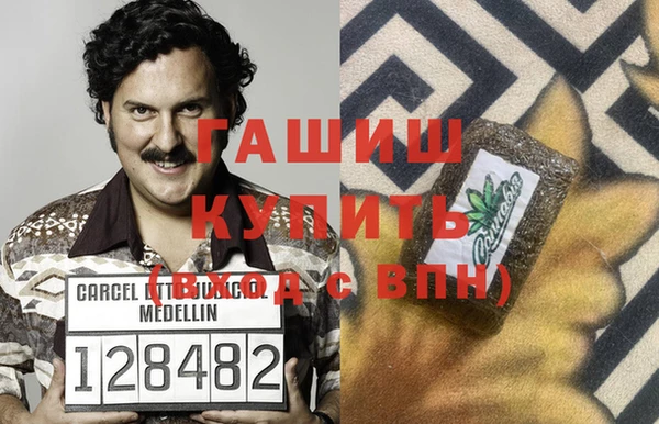гашик Богданович
